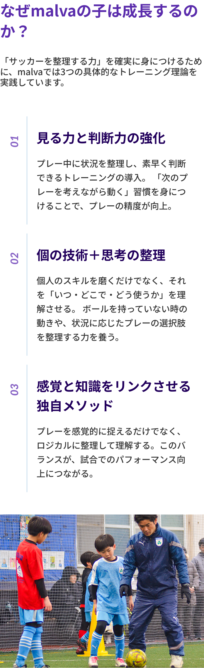 なぜmalvaの子は成長するのか