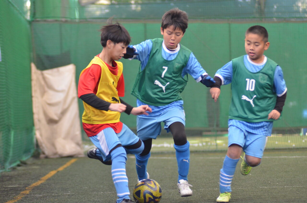 ★八王子日本文化大學校 4月無料体験スクール開催のお知らせ！